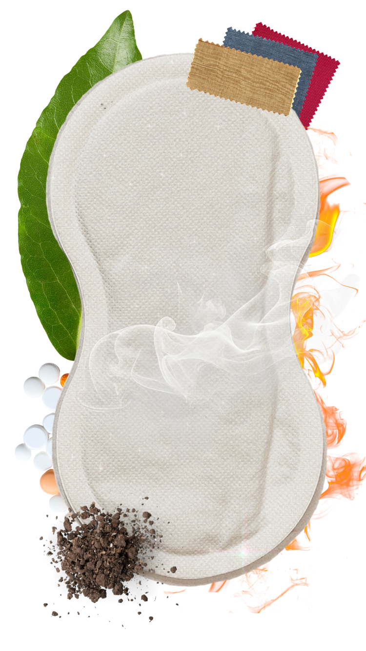 <h2>ANATOMY OF A SPICEY</h2>